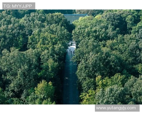 鹿哈喜欢的足球球星是谁？